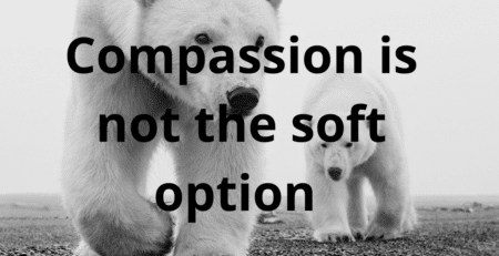 essay on compassion is a verb